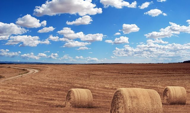 zadłużone polskie rolnictwo i kredyt dla rolników